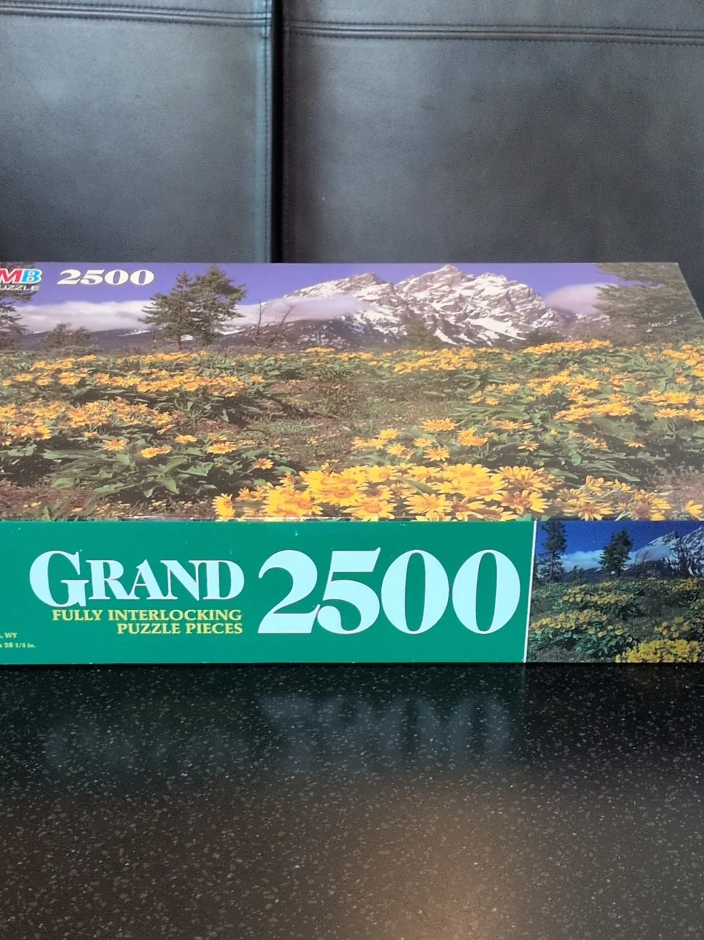 VTG Milton Bradl500 Piece Puzzle Mountain Wildflower Wall Art - Yellow New Inbox